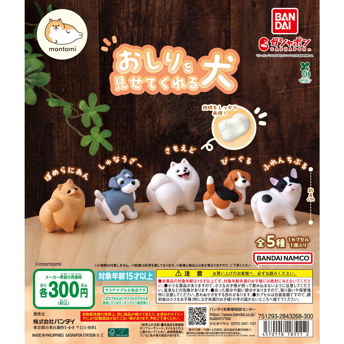おしりを見せてくれる犬の台紙画像