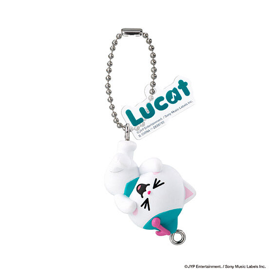 NIZOO つまんでつなげてますこっと でらっくす！の商品画像