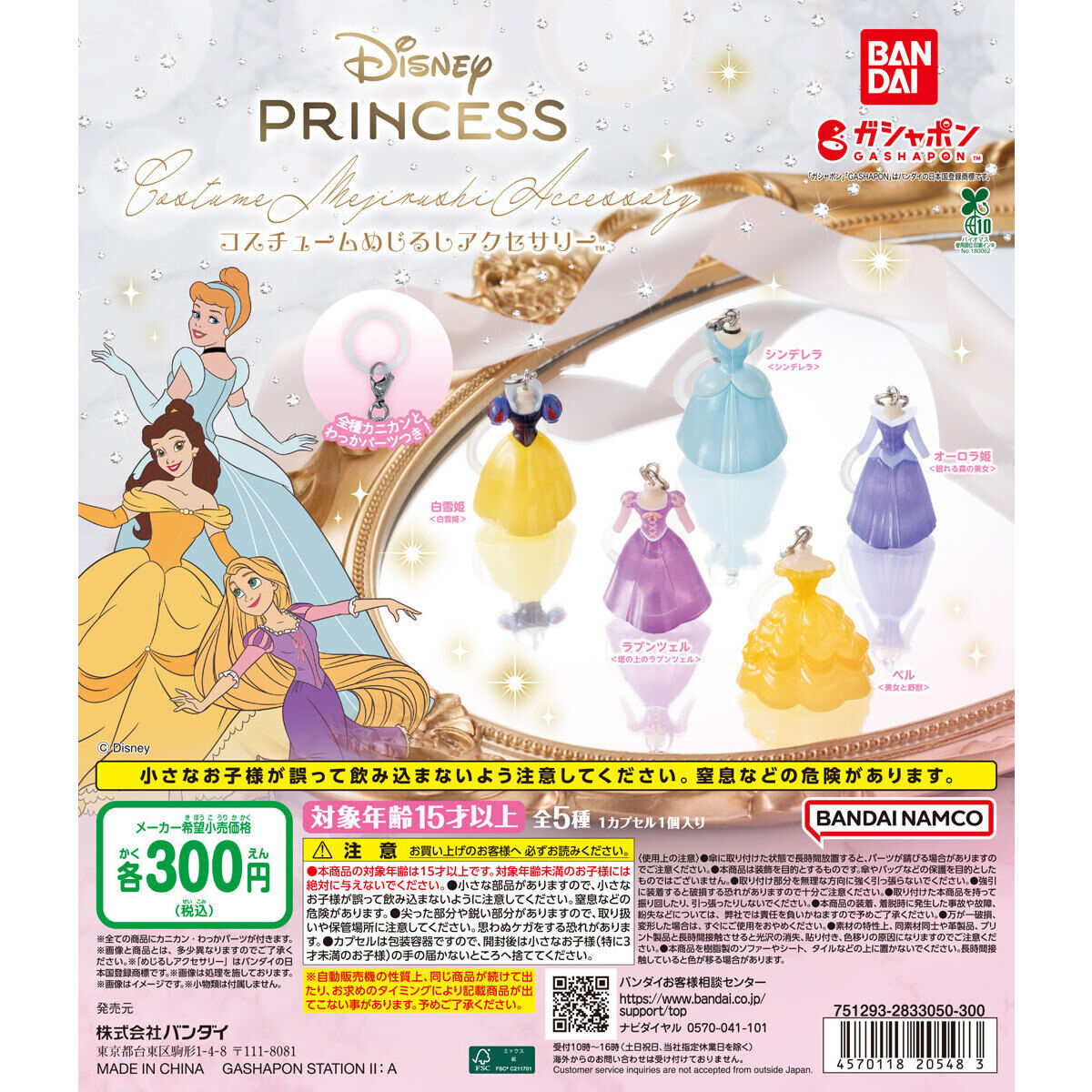 Disney Princess コスチュームめじるしアクセサリーの台紙画像