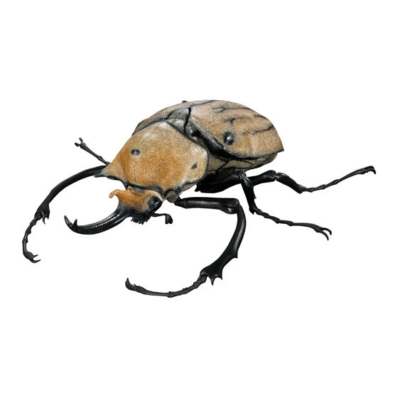 いきもの大図鑑アドバンス カブトムシ04の商品画像