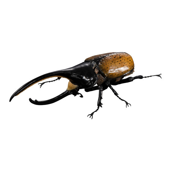いきもの大図鑑アドバンス カブトムシ04の商品画像