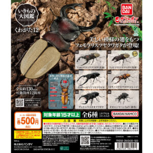いきもの大図鑑 くわがた12 商品画像