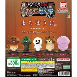 なめこ栽培キット まちぼうけ 商品画像