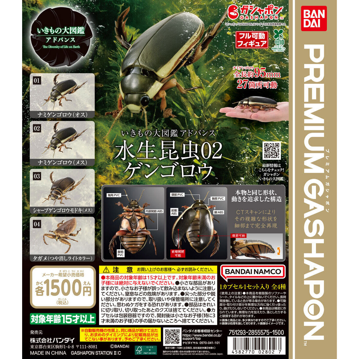 いきもの大図鑑アドバンス 水生昆虫02 ゲンゴロウの台紙画像