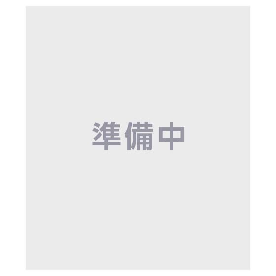 アイカツ！ ダイキャストドレスチャーム 商品画像