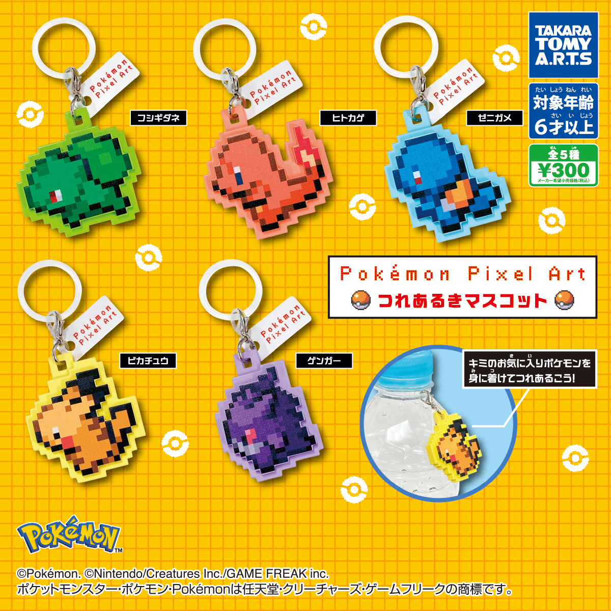 Pokémon Pixel Art つれあるきマスコットの台紙画像